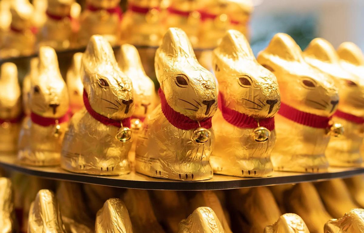 Receive a FREE Chocolate Bunny